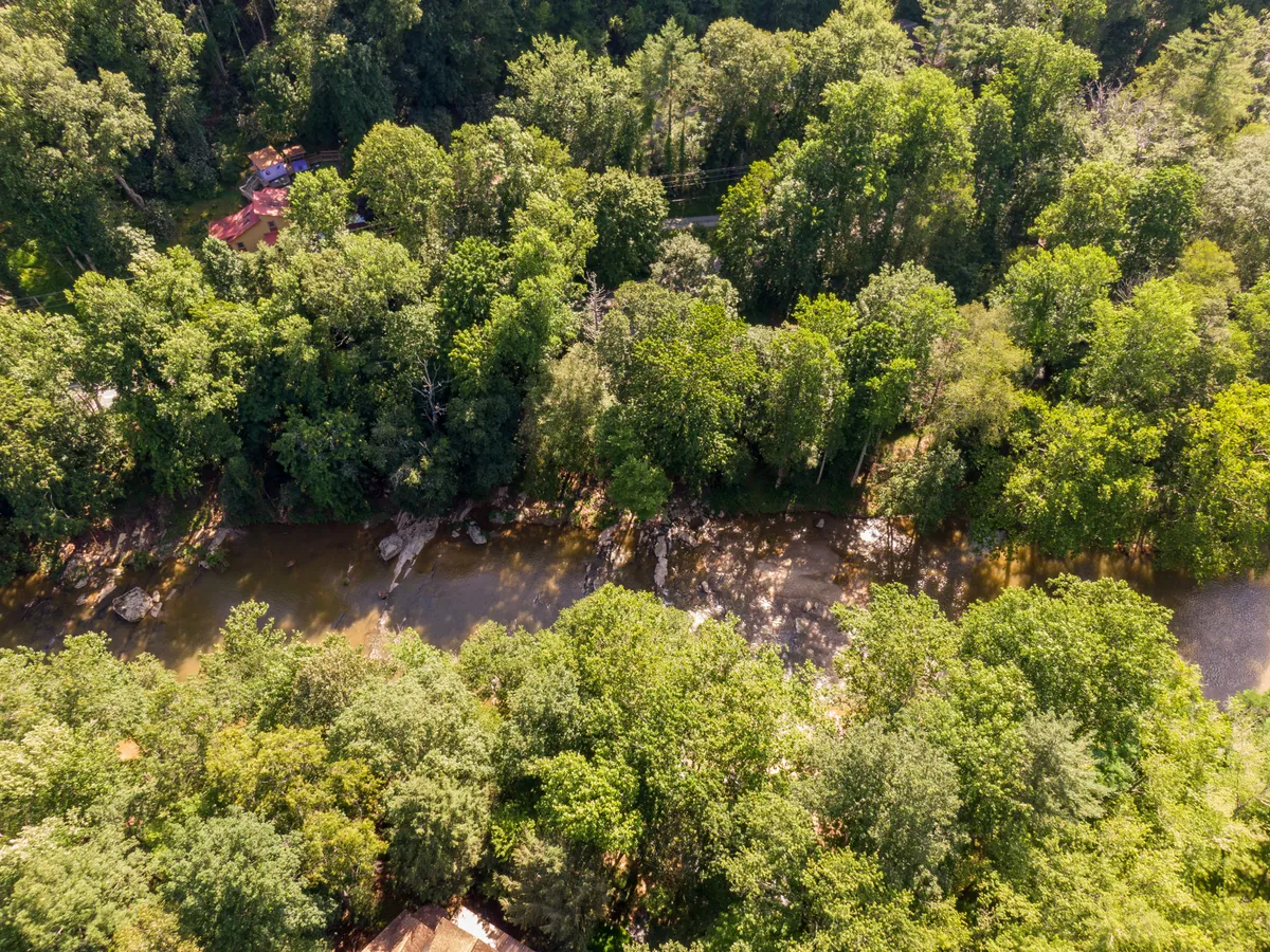 A lush exterior view of a meandering river bordered by greenery and scattered rocks. The tranquil, natural backdrop evokes opportunities for nature walks, riverside adventures, and wildlife spotting with your pet.