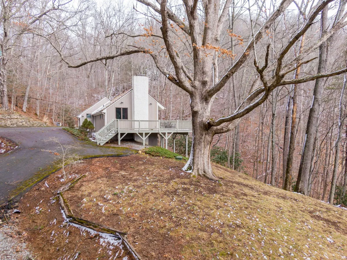 The image shows a house nestled amidst a large tree and surrounding forest, highlighting a sense of privacy while remaining within a cluster of nature-friendly cabins. The peaceful setting is ideal for quiet reflection or outdoor group activities.